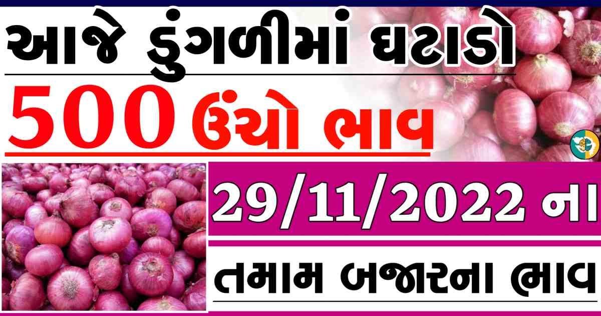 dungali naa bajar bhav, red onion price, white onion price