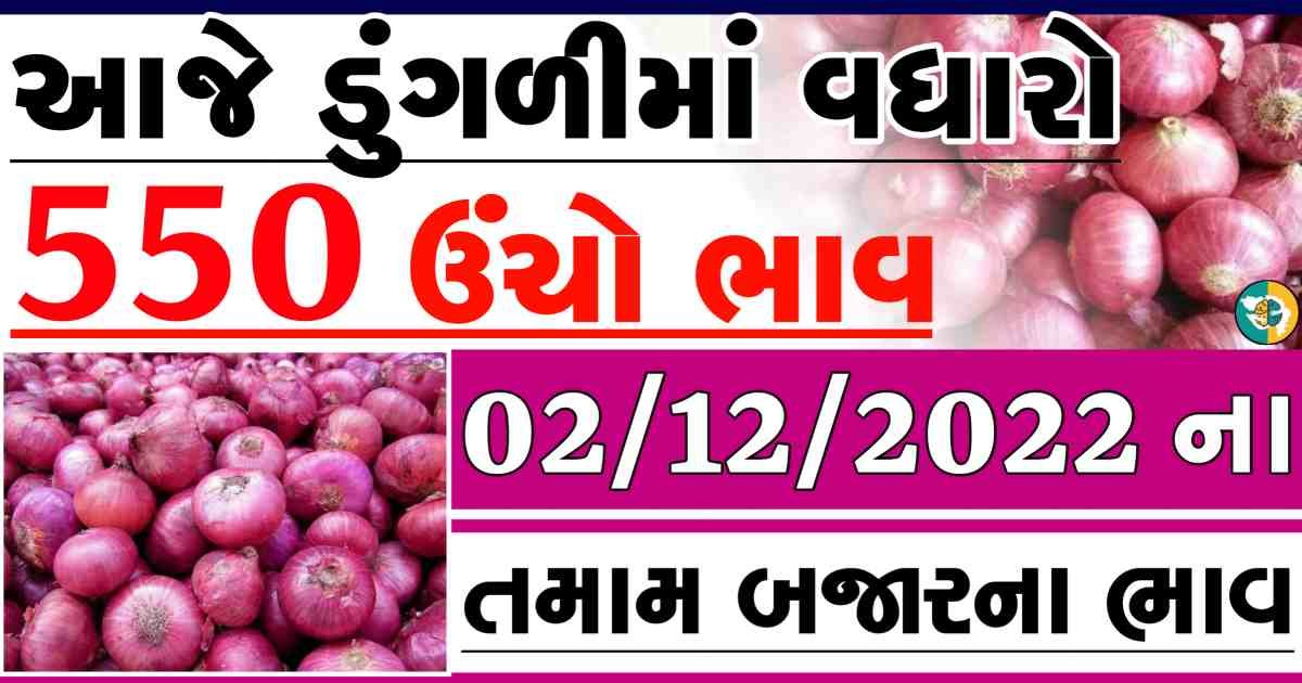 dungali naa bajar bhav, red onion price, white onion price