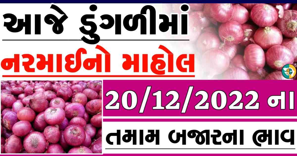 dungali naa bajar bhav, red onion price, white onion price