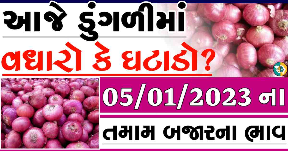 dungali naa bajar bhav, red onion price, white onion price