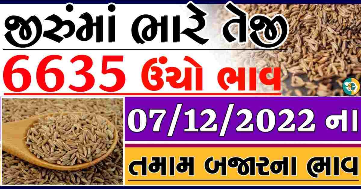 aaj na jiru na bajar bhav today jira apmc rate