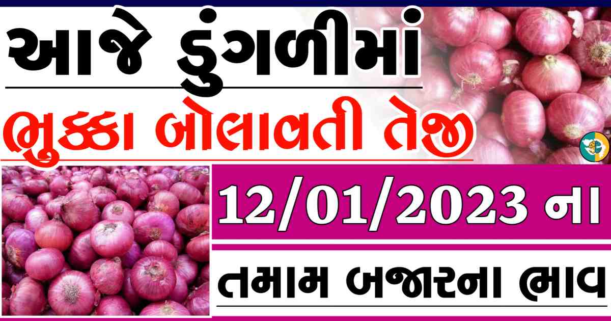 dungali naa bajar bhav, red onion price, white onion price