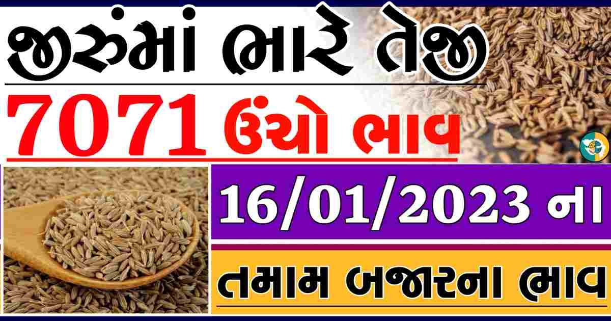 aaj na jiru na bajar bhav today jira apmc rate