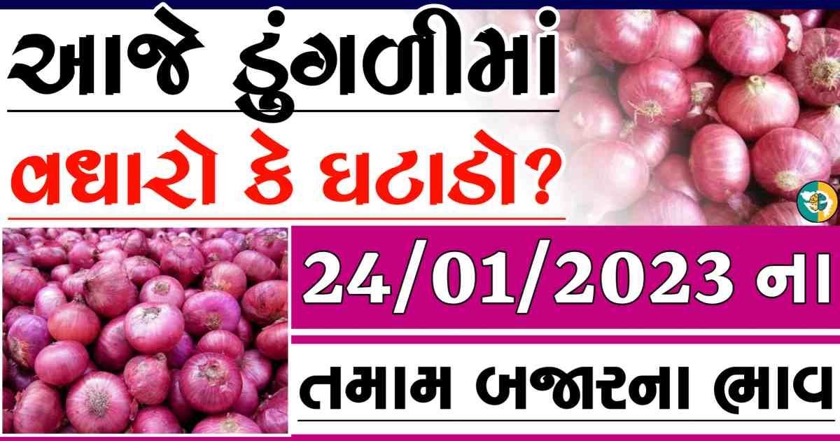 dungali naa bajar bhav, red onion price, white onion price