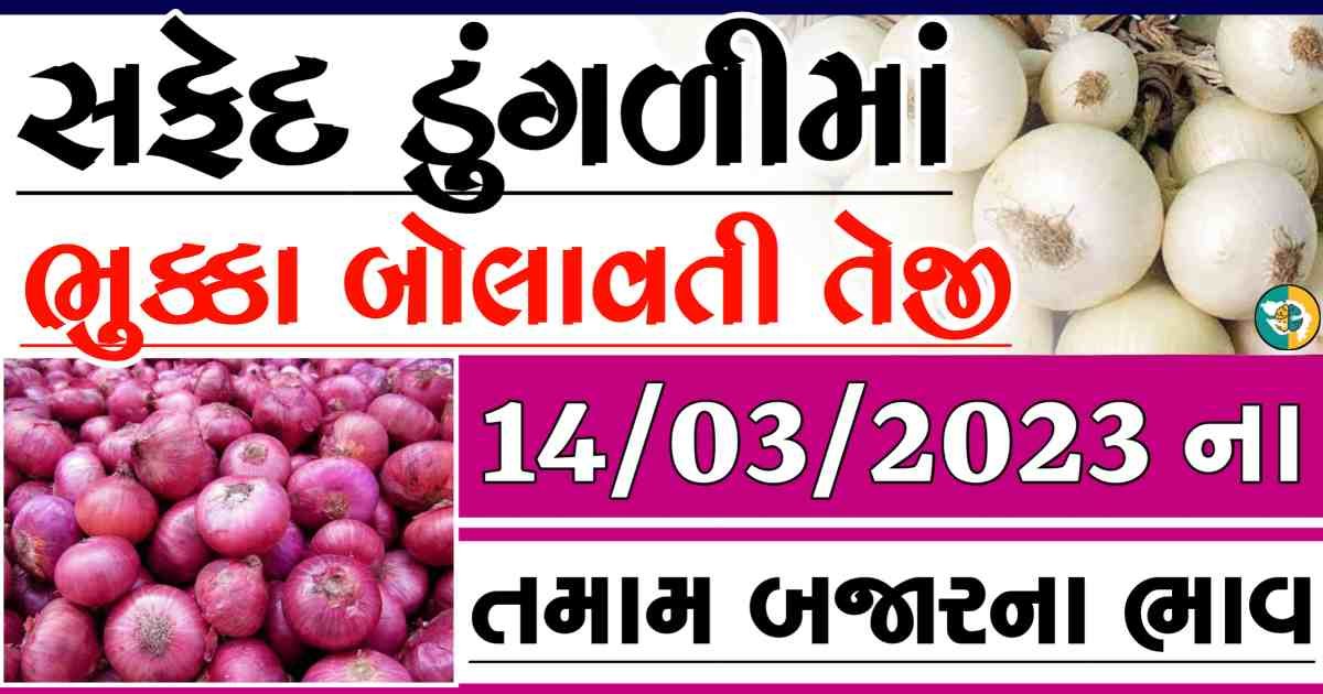 dungali naa bajar bhav, red onion price, white onion price