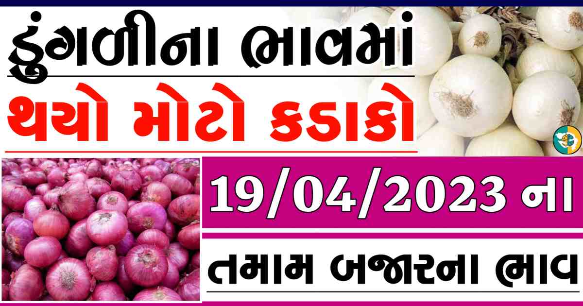 dungali naa bajar bhav, red onion price, white onion price
