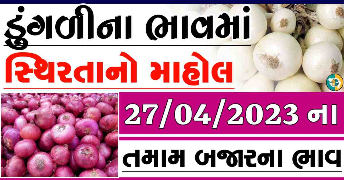 dungali naa bajar bhav, red onion price, white onion price