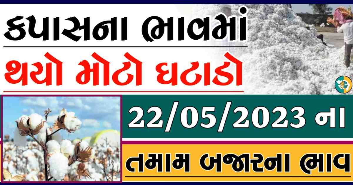 aaj na kapas na bajar bhav today cotton apmc rate