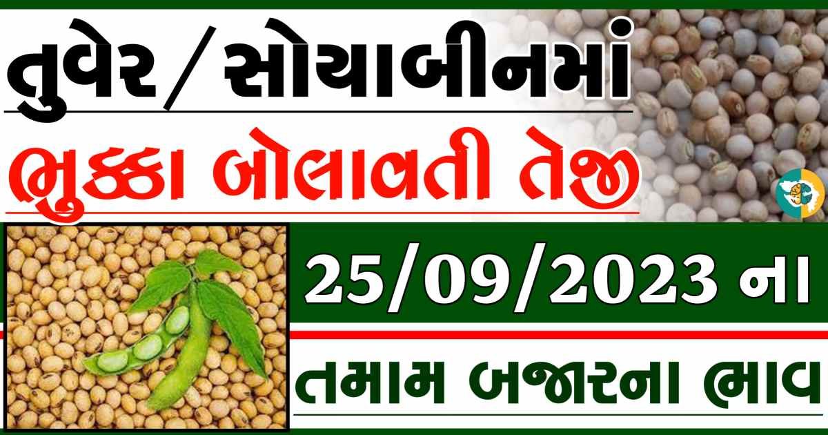 aaj na tuver na bajar bhav today soybeans apmc rate
