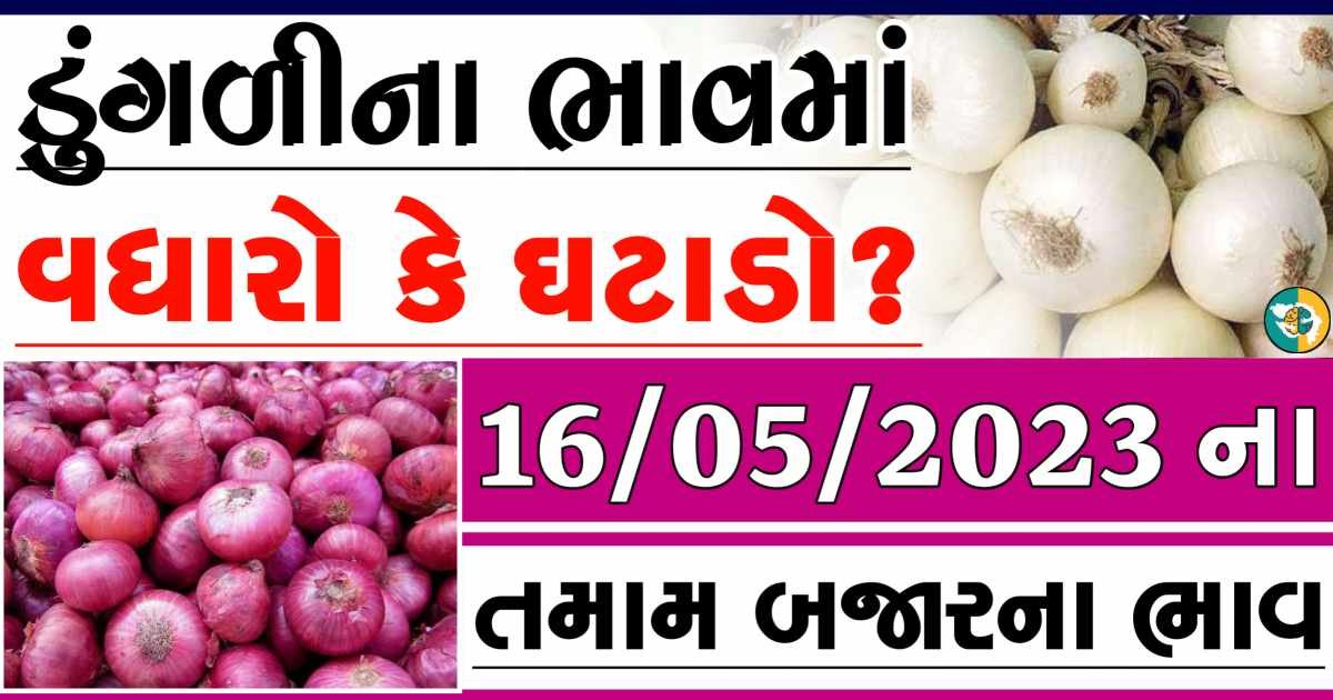 Today 16/10/2023 Onion Apmc Rate આજના લાલ અને સફેદ ડુંગળીના બજાર ભાવ Gkmarugujarat.com