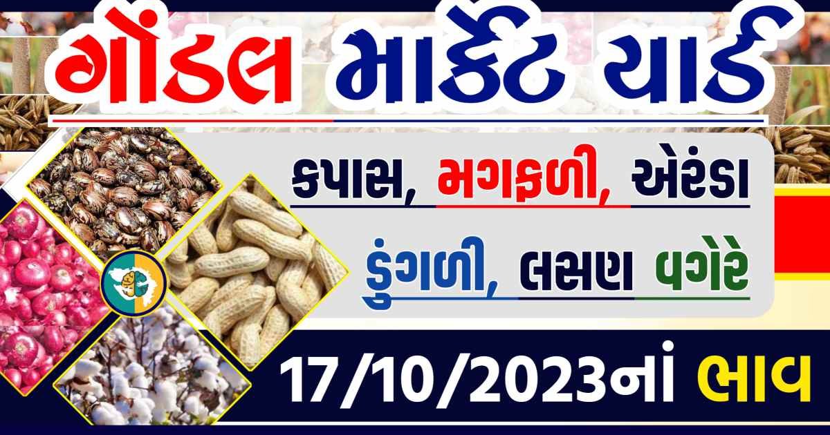 Today 17/10/2023 Gondal Apmc Rate આજના ગોંડલ માર્કેટ યાર્ડના બજાર ભાવ gkmarugujarat.com