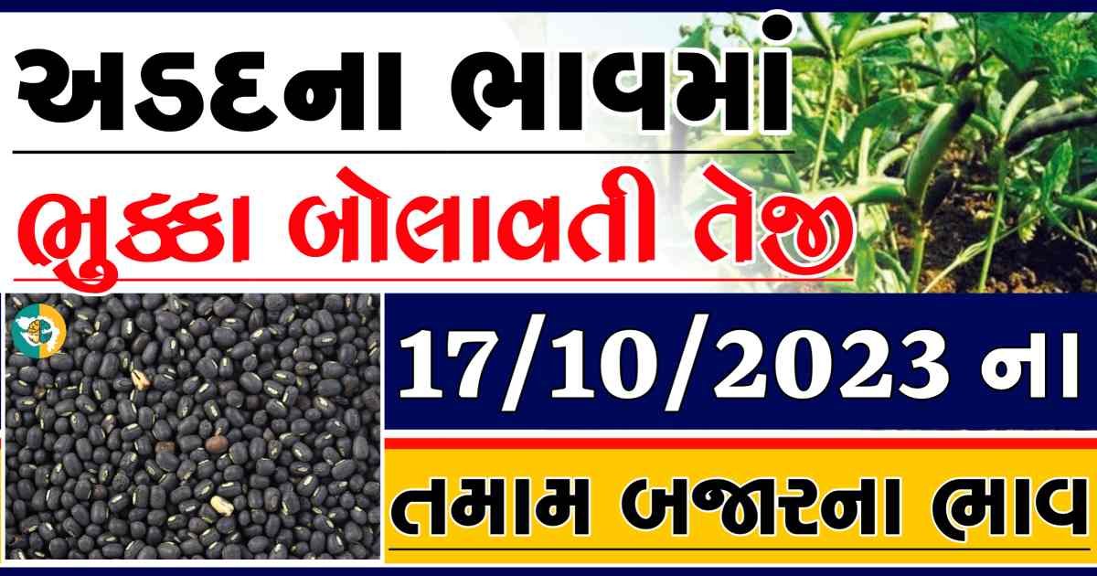 Today 17/10/2023 Arad Apmc Rate આજના અડદના બજાર ભાવ gkmarugujarat.com