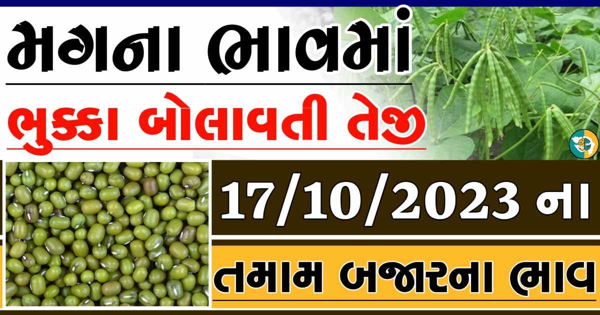 Today 17/10/2023 Mag Apmc Rate આજના મગના બજાર ભાવ gkmarugujarat.com