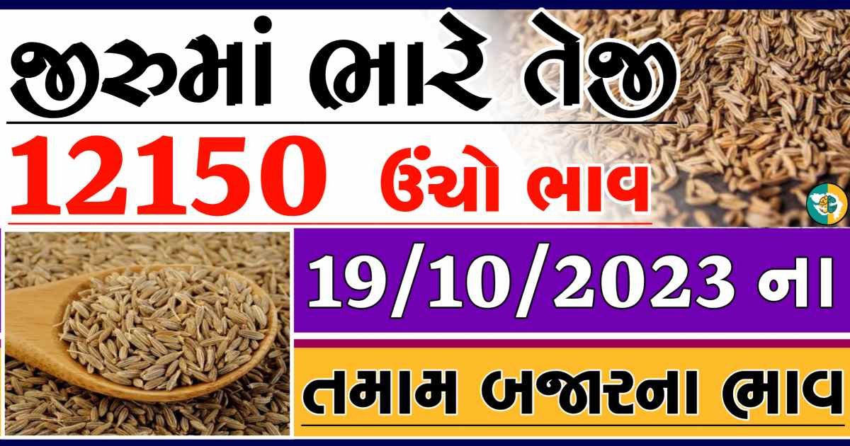 Today 19/10/2023 Jiru Apmc Rate આજના જીરુના બજાર ભાવ gkmarugujarat.com