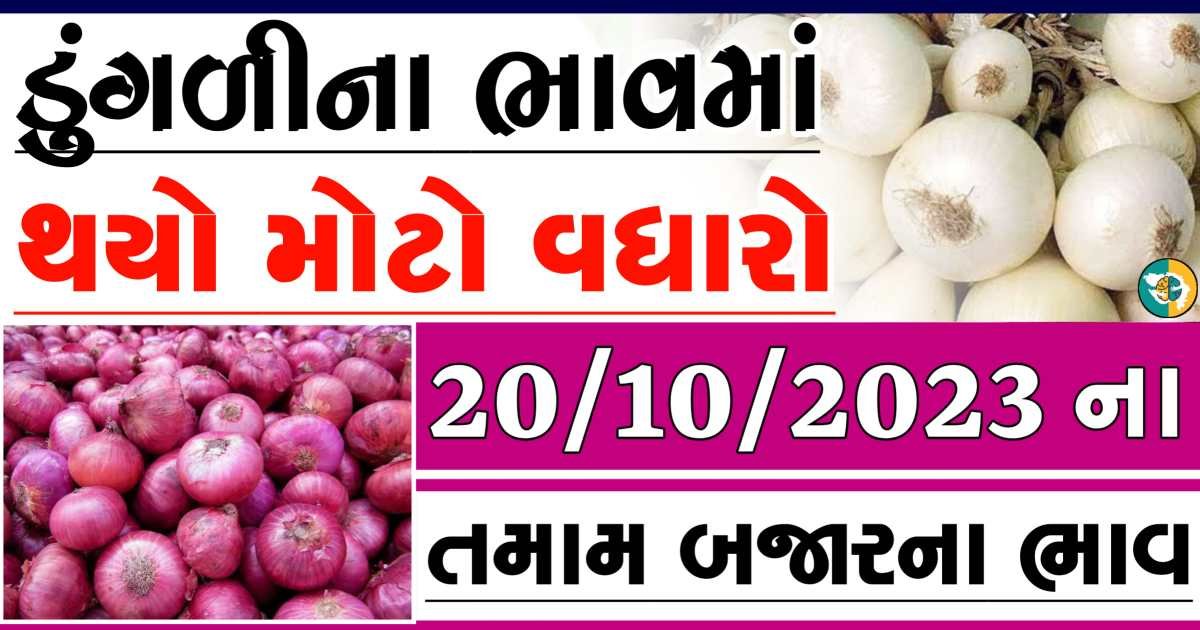 Today 20/10/2023 Onion Apmc Rate આજના લાલ અને સફેદ ડુંગળીના બજાર ભાવ Gkmarugujarat.com