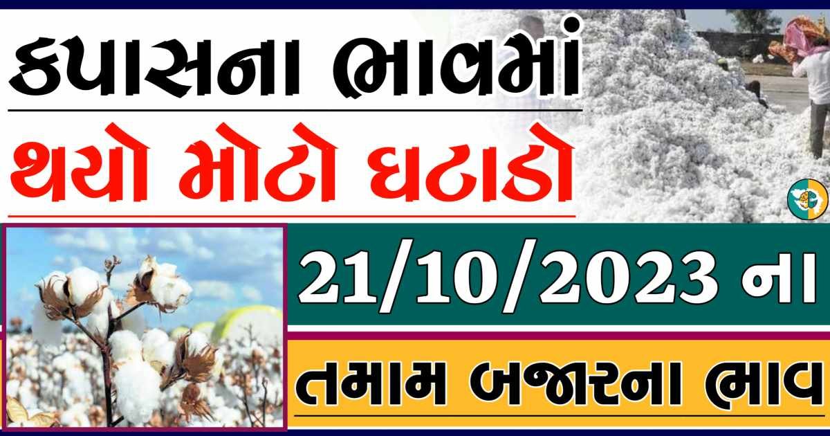 Today 21/10/2023 Cotton Apmc Rate gkmarugujarat.com