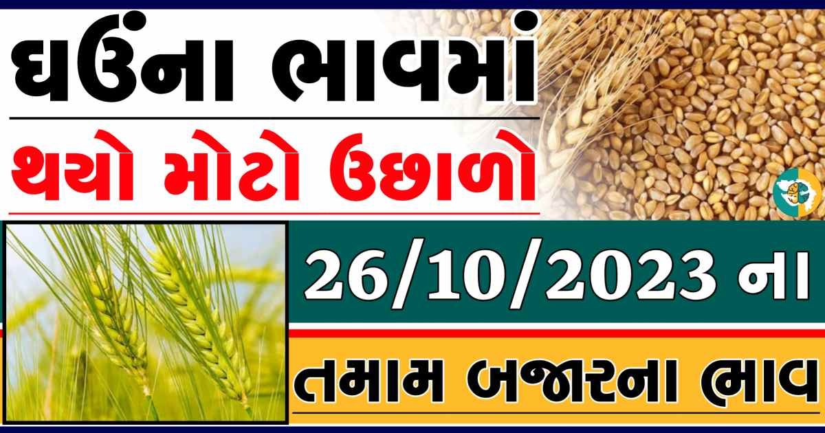 Today 26/10/2023 Wheat Apmc Rate આજના લોકવન અને ટુકડા ઘઉંના બજાર ભાવ