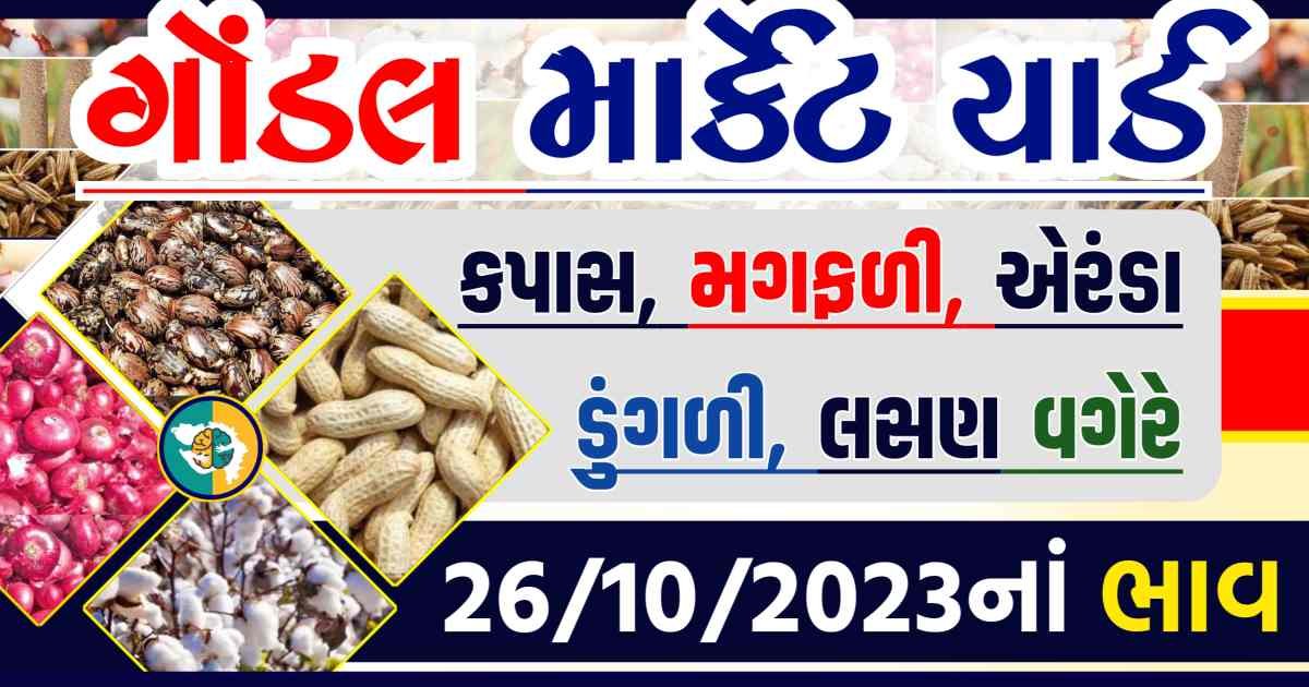 Today 26/10/2023 Gondal Apmc Rate આજના ગોંડલ માર્કેટ યાર્ડના બજાર ભાવ gkmarugujarat.com