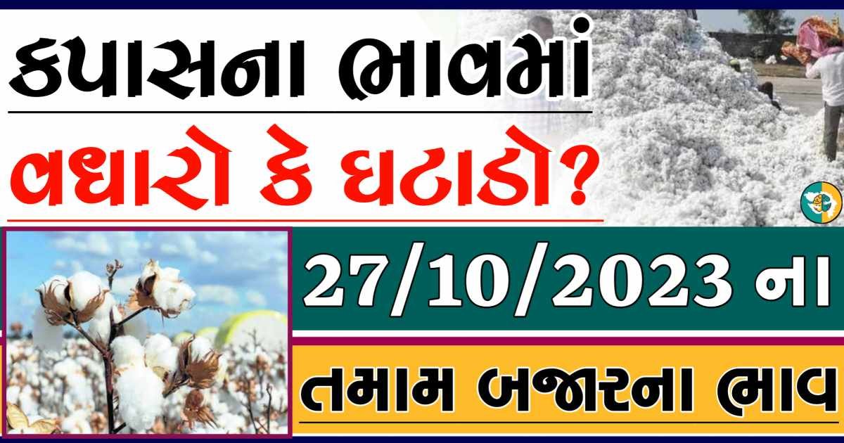 Today 27/10/2023 Cotton Apmc Rate gkmarugujarat.com