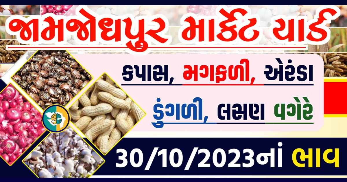 Today 30/10/2023 Jamjodhpur Apmc Rate આજના જામજોધપુરના બજાર ભાવ Gkmarugujarat.com