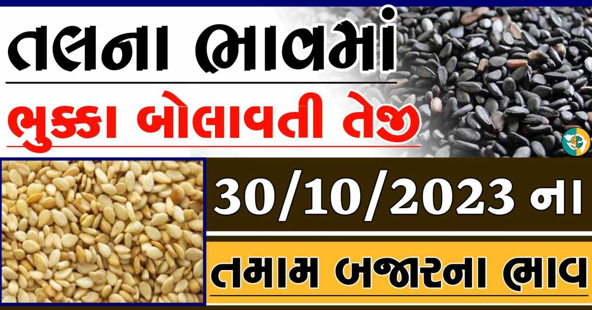 Today 30/10/2023 Sesame Apmc Rate આજના સફેદ અને કાળા તલના બજાર ભાવ Gkmarugujarat.com