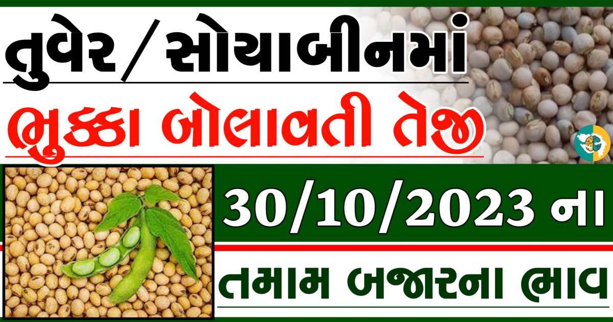 30/10/2023 Turmeric Soybeans Apmc Rate આજના તુવેર અને સોયાબીનના બજાર ભાવ gkmarugujarat.com