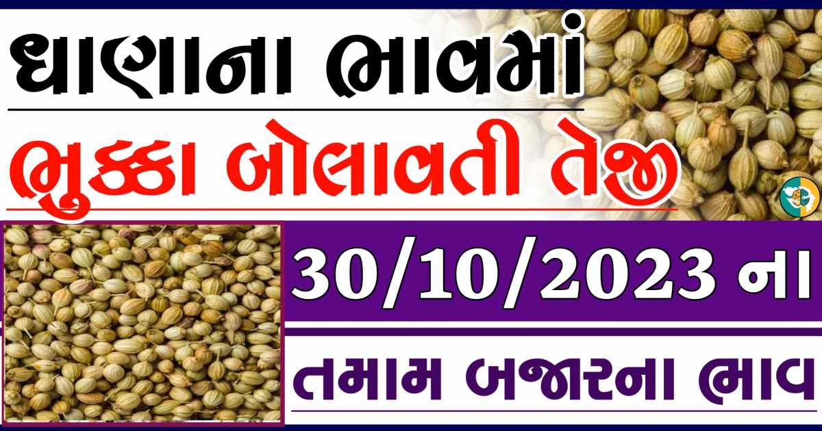 30/10/2023 Coriander Apmc Rate આજના ધાણાના બજાર ભાવ gkmarugujarat.com