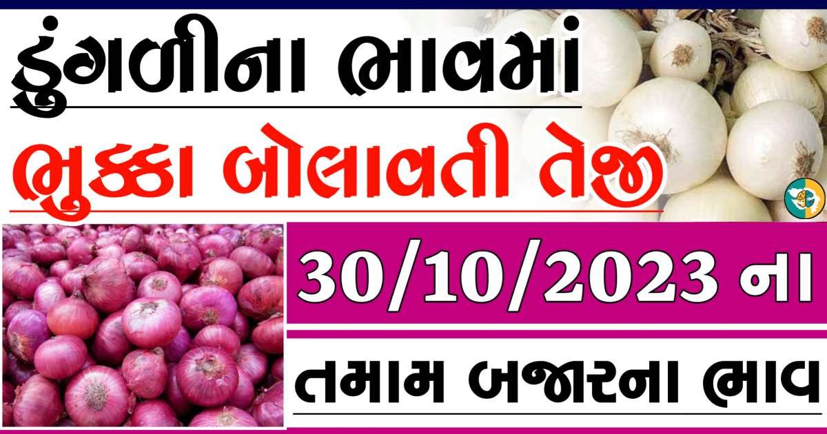 Today 30/10/2023 Onion Apmc Rate આજના લાલ અને સફેદ ડુંગળીના બજાર ભાવ Gkmarugujarat.com