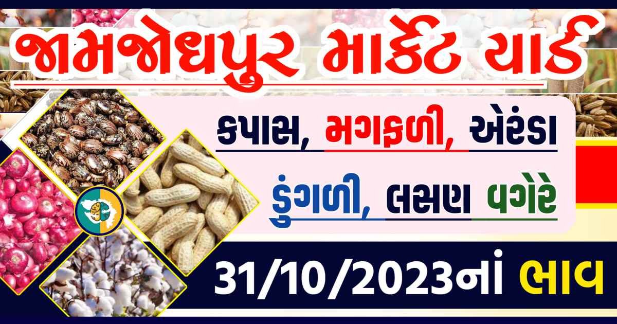 Today 31/10/2023 Jamjodhpur Apmc Rate આજના જામજોધપુરના બજાર ભાવ Gkmarugujarat.com