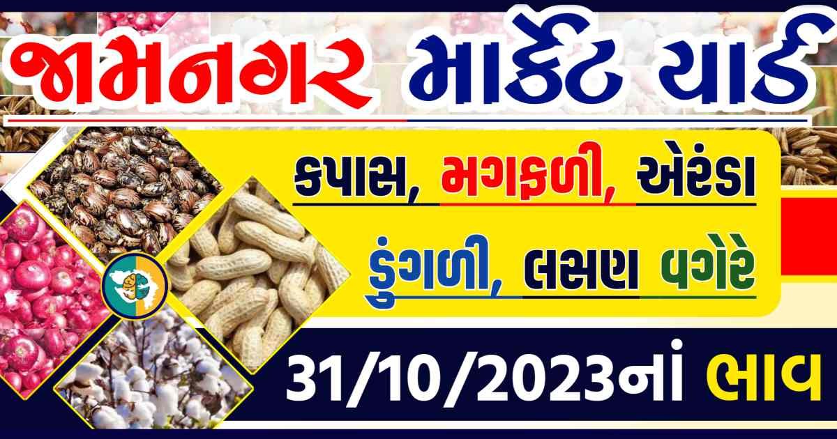 Today 31/10/2023 Jamnagar Apmc Rate આજના જામનગરના બજાર ભાવ Gkmarugujarat.com