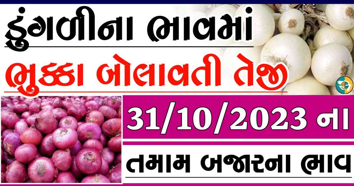 Today 31/10/2023 Onion Apmc Rate આજના લાલ અને સફેદ ડુંગળીના બજાર ભાવ Gkmarugujarat.com