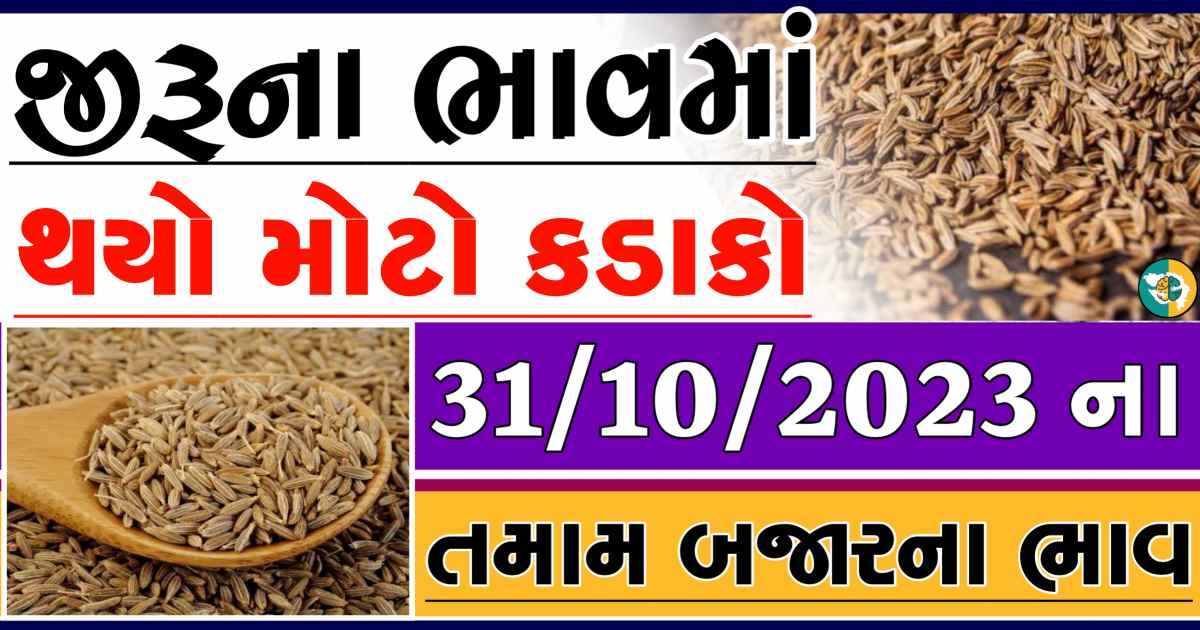 Today 31/10/2023 Jiru Apmc Rate આજના જીરુના બજાર ભાવ gkmarugujarat.com