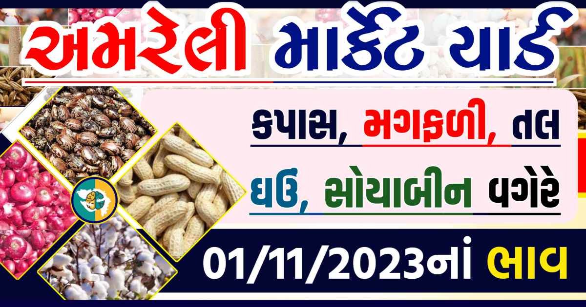 Today 01/11/2023 Amreli Apmc Rate આજના અમરેલીના બજાર ભાવ Gkmarugujarat.com