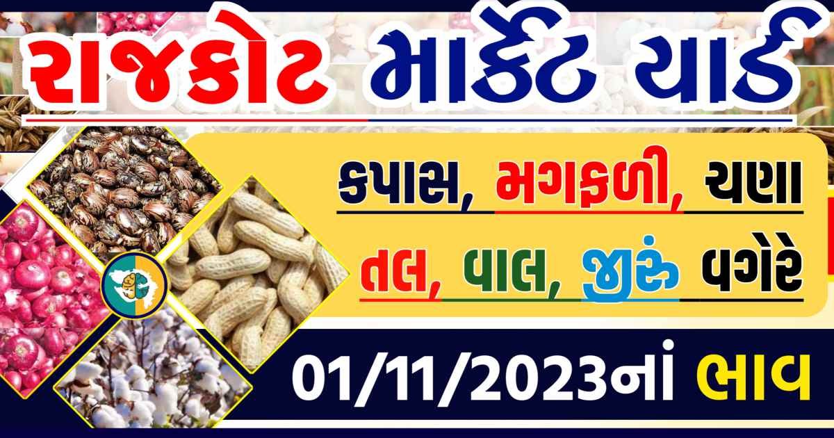 Today 01/11/2023 Rajkot Apmc Rate આજના રાજકોટના બજાર ભાવ Gkmarugujarat.com