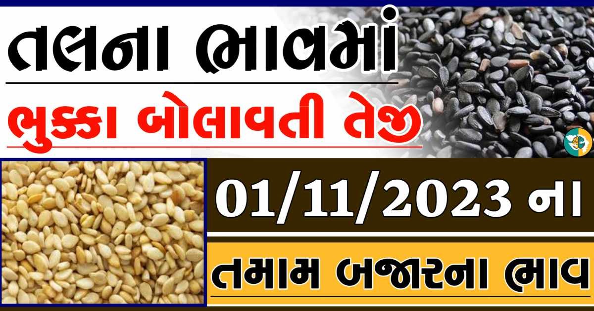 Today 01/11/2023 Sesame Apmc Rate આજના સફેદ અને કાળા તલના બજાર ભાવ Gkmarugujarat.com