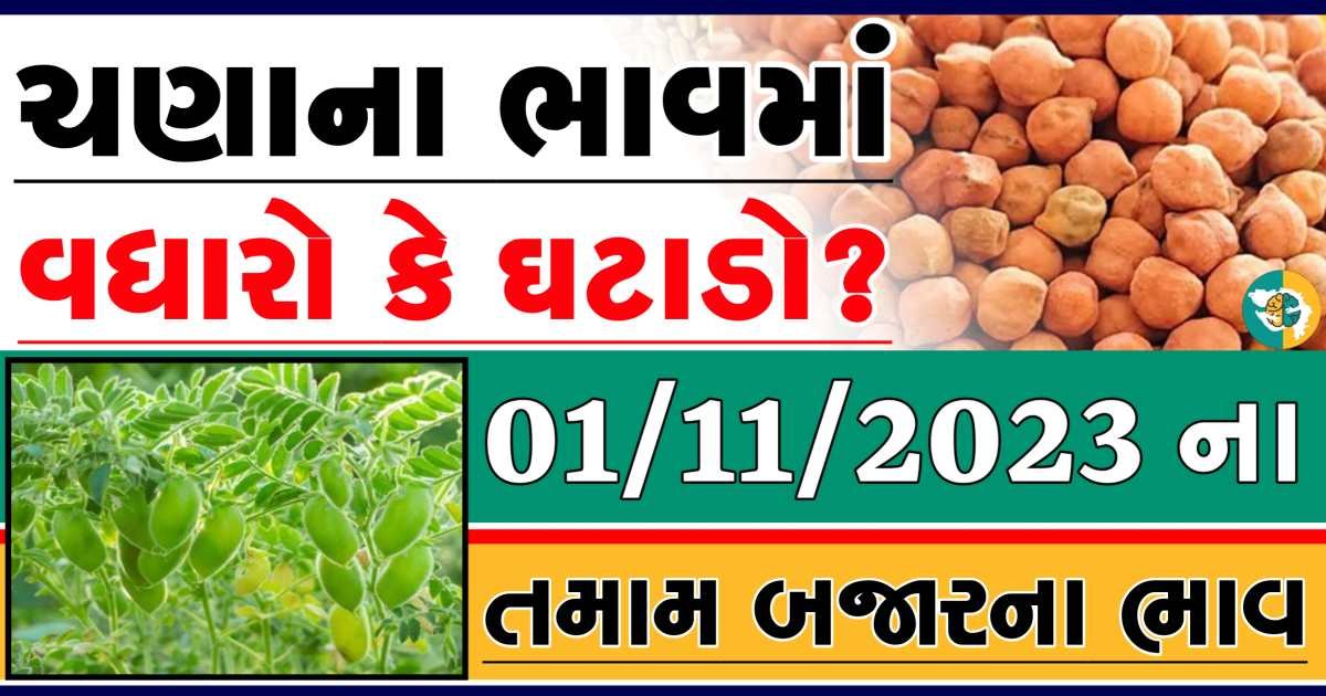 01/11/2023 Chickpeas Apmc Rate આજના ચણાના બજાર ભાવ gkmarugujarat.com