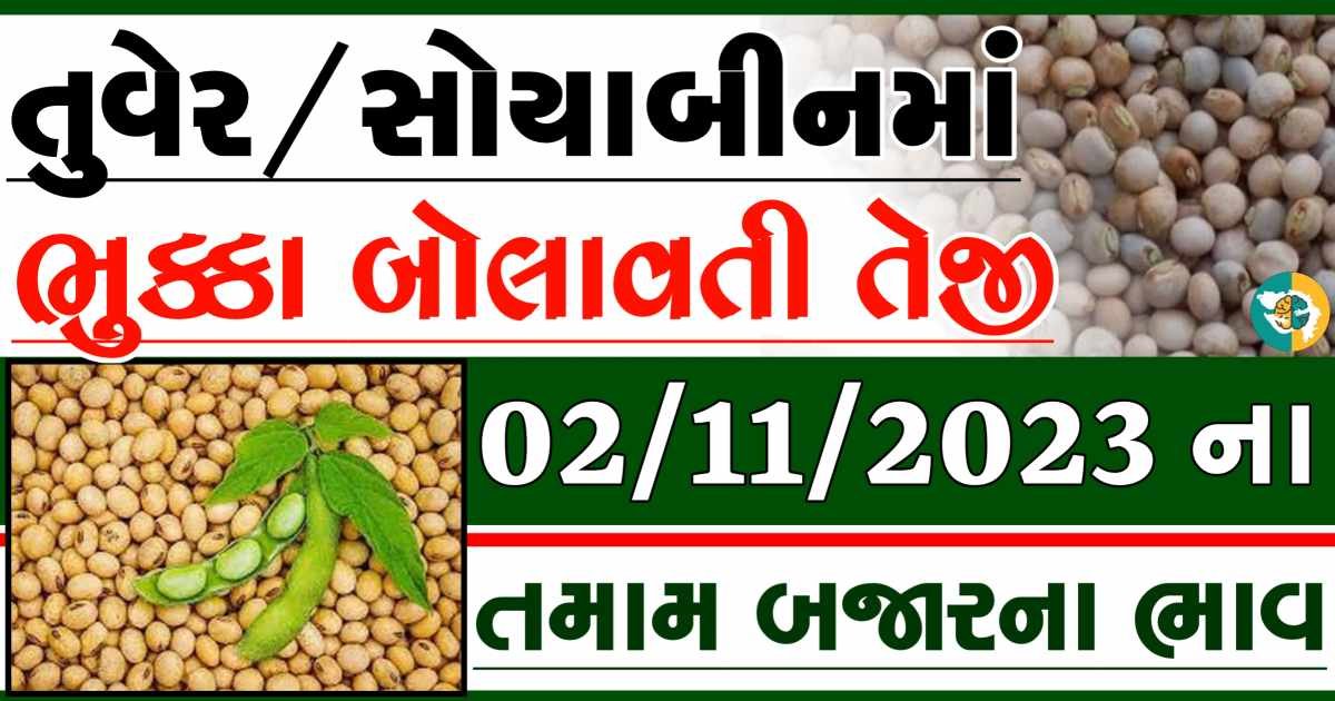 02/11/2023 Turmeric Soybeans Apmc Rate આજના તુવેર અને સોયાબીનના બજાર ભાવ gkmarugujarat.com