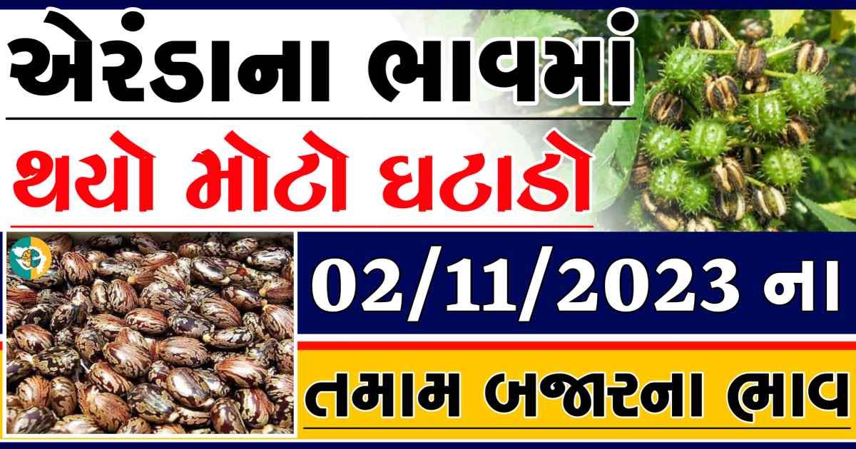 Today 02/11/2023 Eranda Apmc Rate આજના એરંડાના બજાર ભાવ gkmarugujarat.com