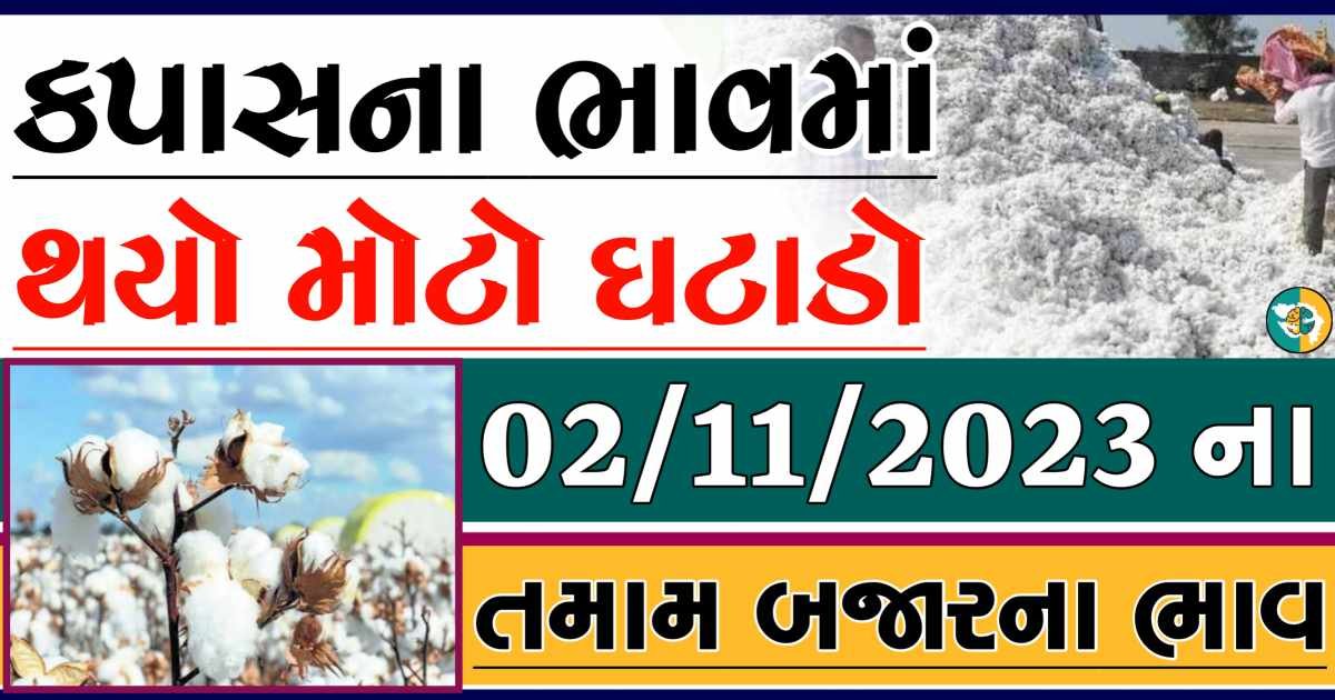 Today 02/11/2023 Cotton Apmc Rate gkmarugujarat.com