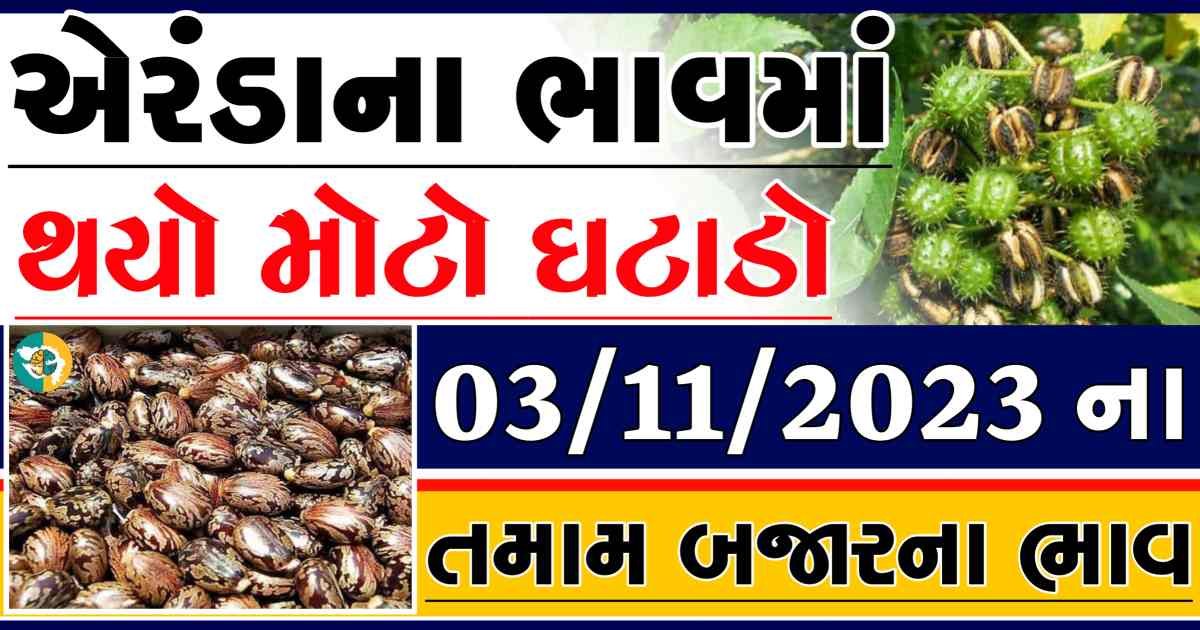 Today 03/11/2023 Eranda Apmc Rate આજના એરંડાના બજાર ભાવ gkmarugujarat.com