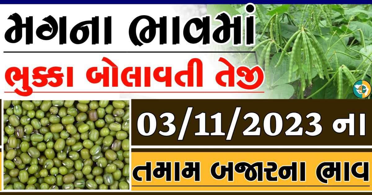 Today 03/11/2023 Mag Apmc Rate આજના મગના બજાર ભાવ gkmarugujarat.com
