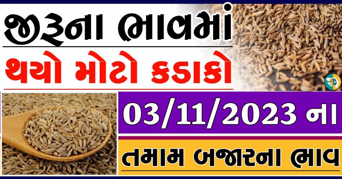 Today 03/11/2023 Jiru Apmc Rate આજના જીરુના બજાર ભાવ gkmarugujarat.com