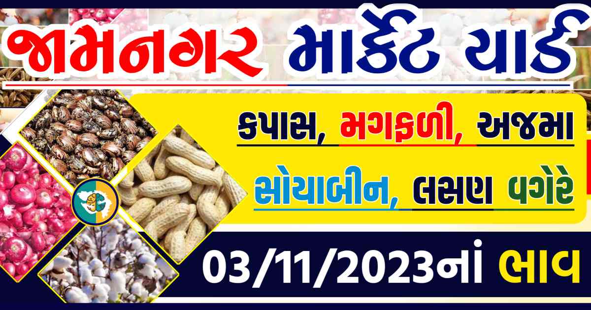 Today 03/11/2023 Jamnagar Apmc Rate આજના જામનગરના બજાર ભાવ Gkmarugujarat.com