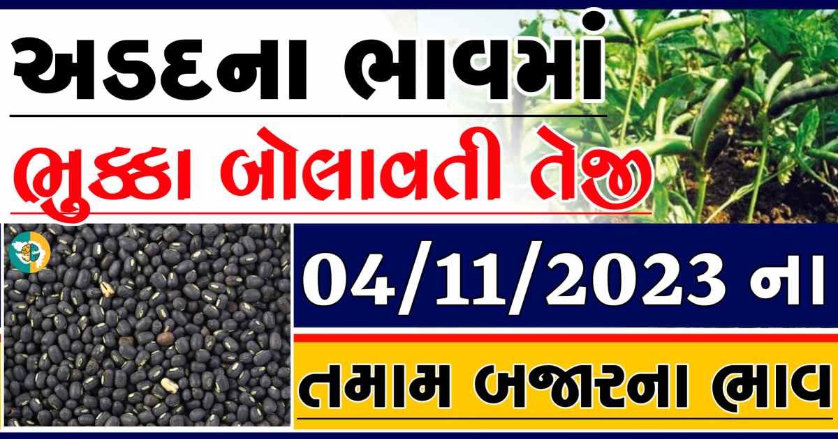 Today 04/11/2023 Arad Apmc Rate આજના અડદના બજાર ભાવ gkmarugujarat.com