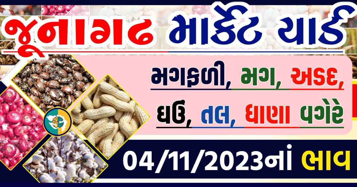 Today 04/11/2023 Junagadh Apmc Rate આજના જુનાગઢના બજાર ભાવ Gkmarugujarat.com