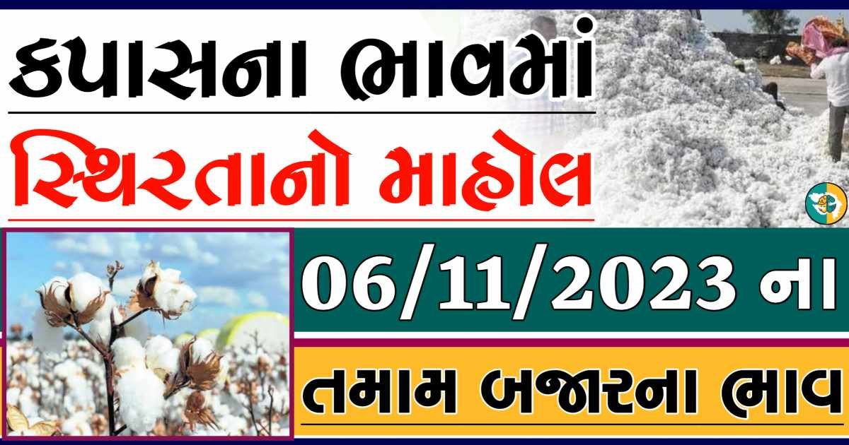 Today 06/11/2023 Cotton Apmc Rate gkmarugujarat.com