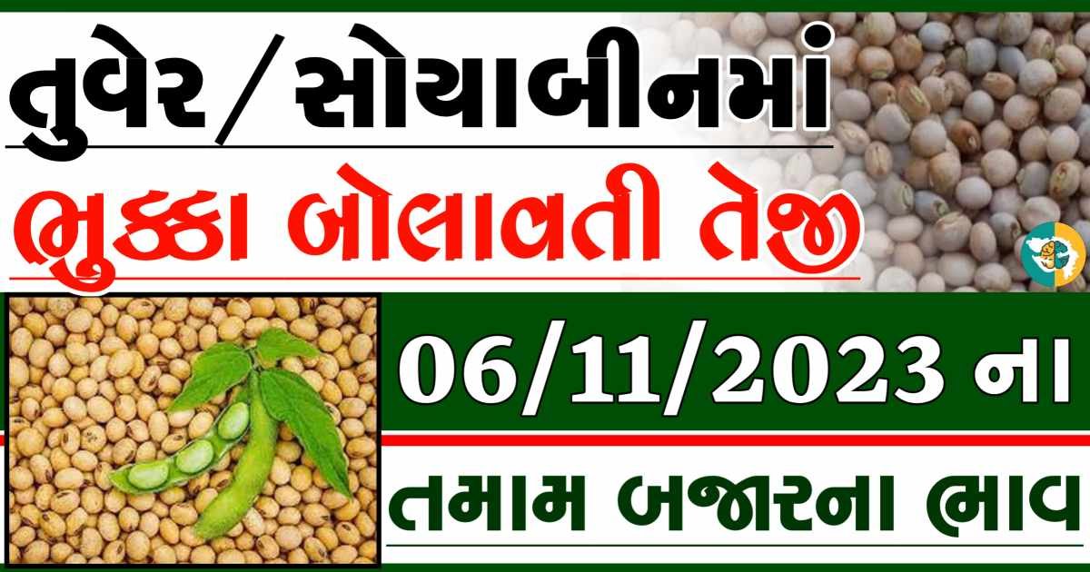 06/11/2023 Turmeric Soybeans Apmc Rate આજના તુવેર અને સોયાબીનના બજાર ભાવ gkmarugujarat.com