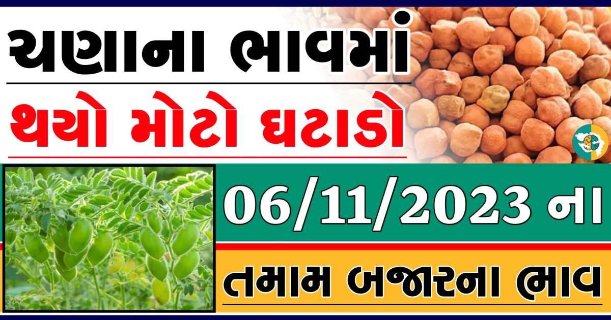 Today 06/11/2023 Chickpeas Apmc Rate આજના ચણાના બજાર ભાવ gkmarugujarat.com