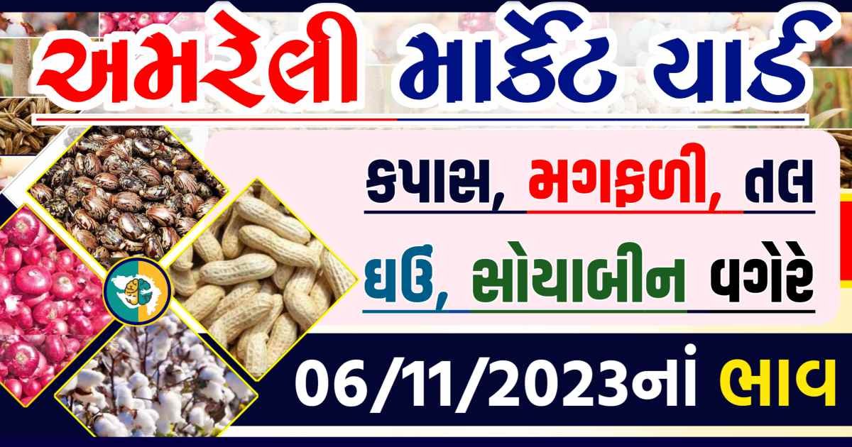 Today 06/11/2023 Amreli Apmc Rate આજના અમરેલીના બજાર ભાવ Gkmarugujarat.com