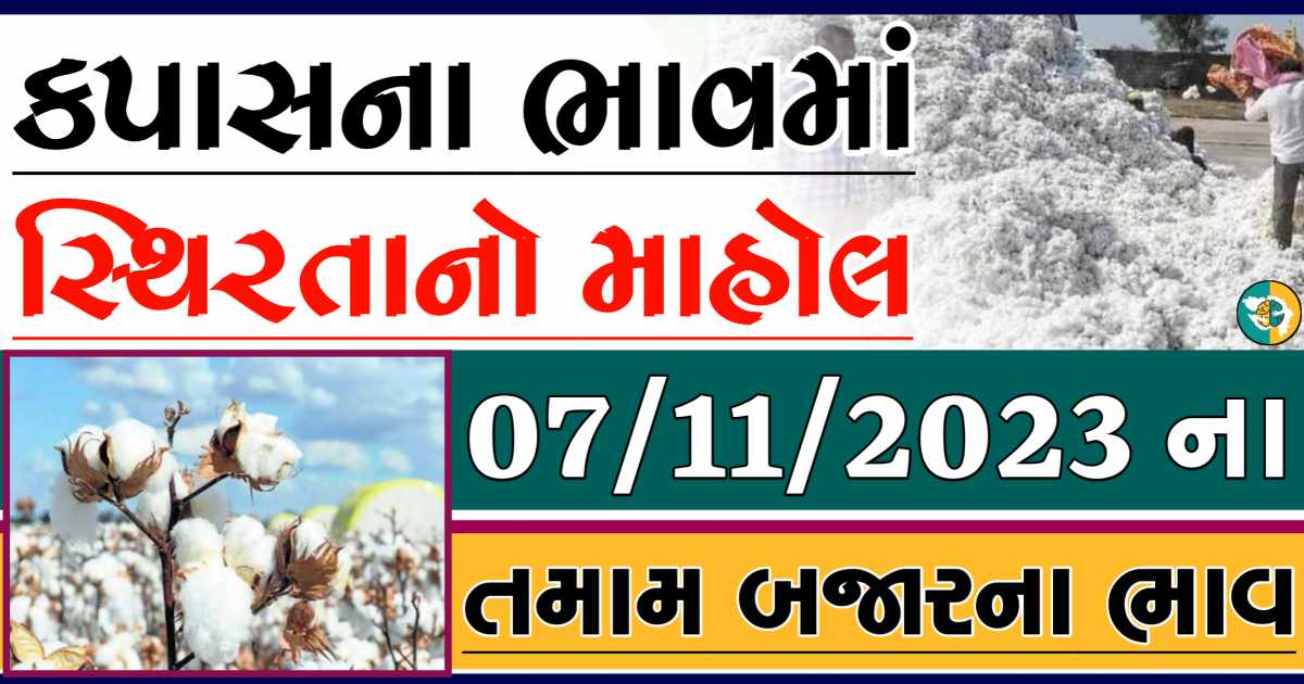 Today 07/11/2023 Cotton Apmc Rate gkmarugujarat.com